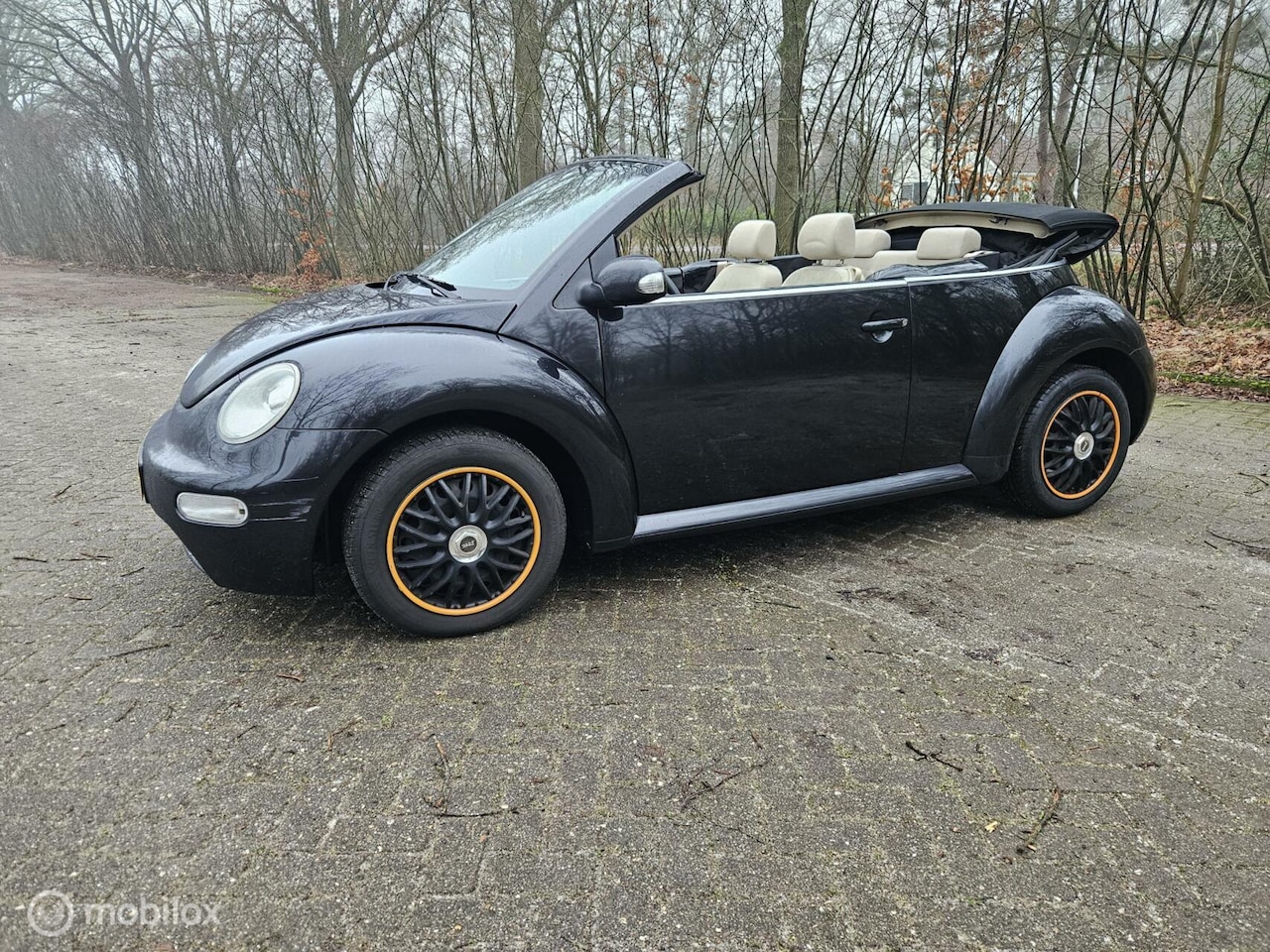 Volkswagen New Beetle Cabriolet - 1.6 Highline 1.6 Highline - AutoWereld.nl