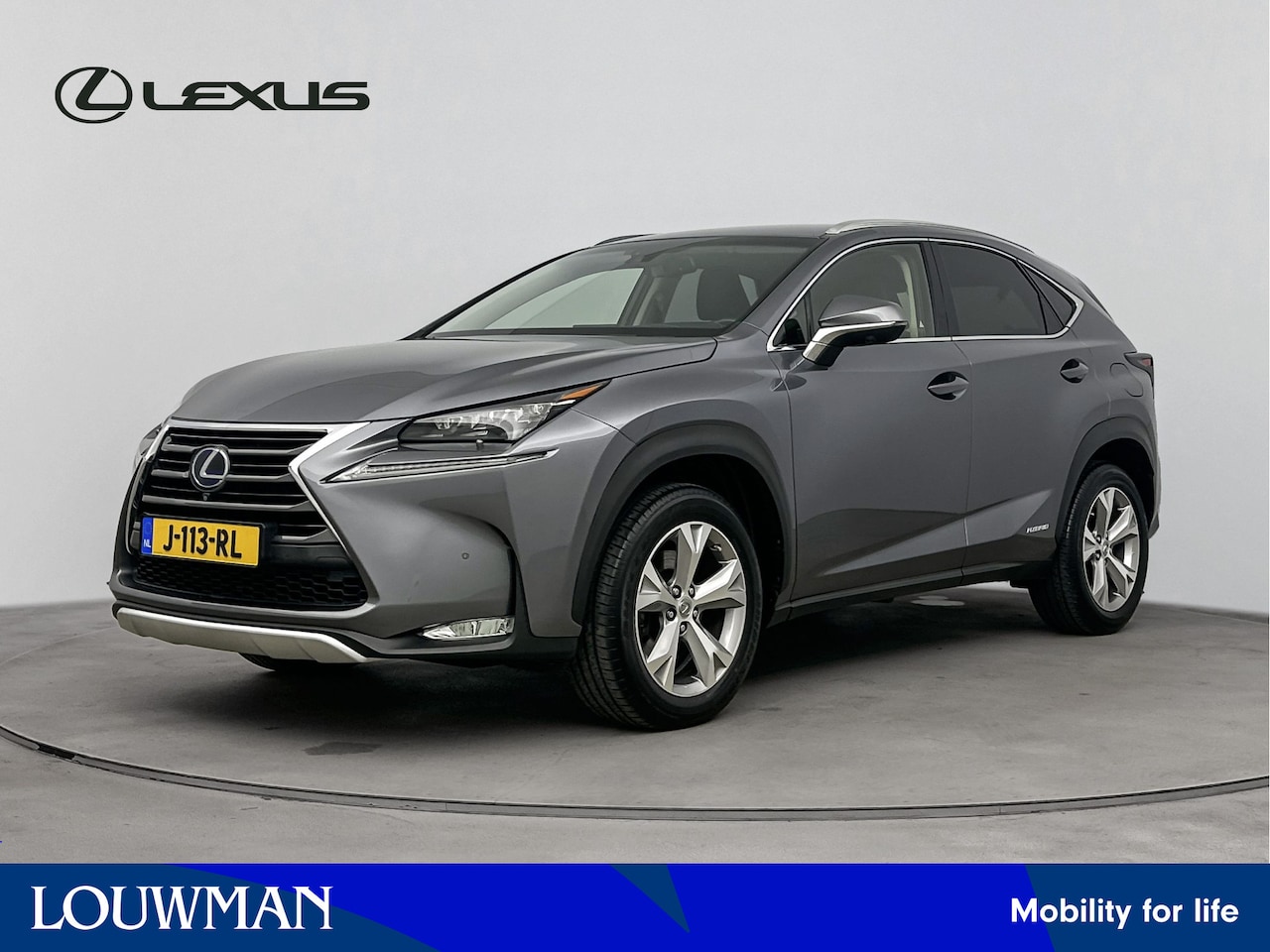 Lexus NX - 300h AWD President Line Limited | Mark Levinson | Stoel en stuurwiel verwarmd | Parkeersen - AutoWereld.nl