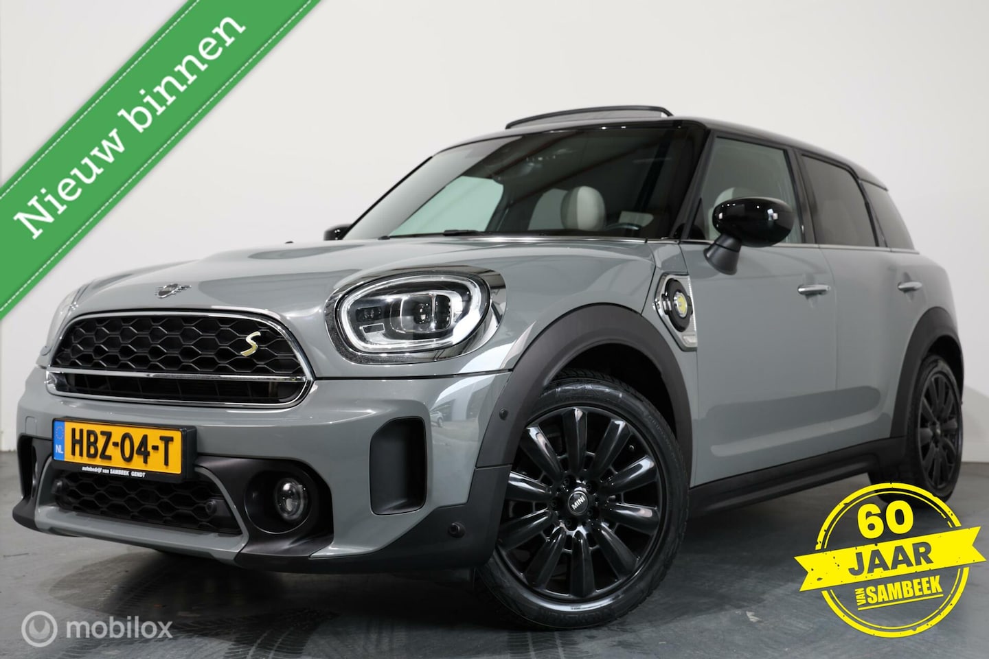 MINI Countryman - 2.0 Cooper S E ALL4 - PANO - LEER - NAVI - WINTERPACK - AutoWereld.nl