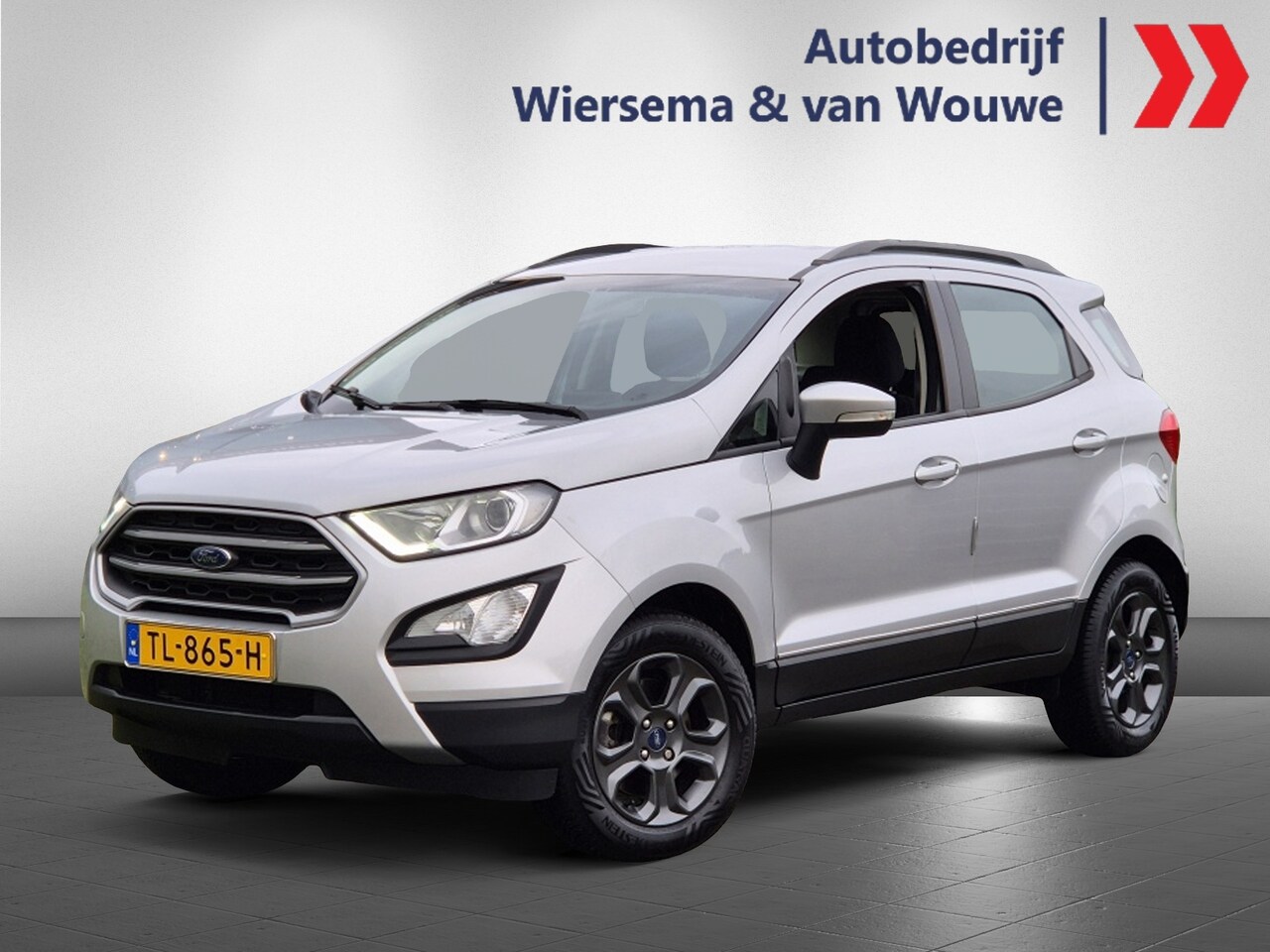 Ford EcoSport - 1.0 EcoBoost Trend Ultimate 125 PK | NAVI | TREKHAAK - AutoWereld.nl