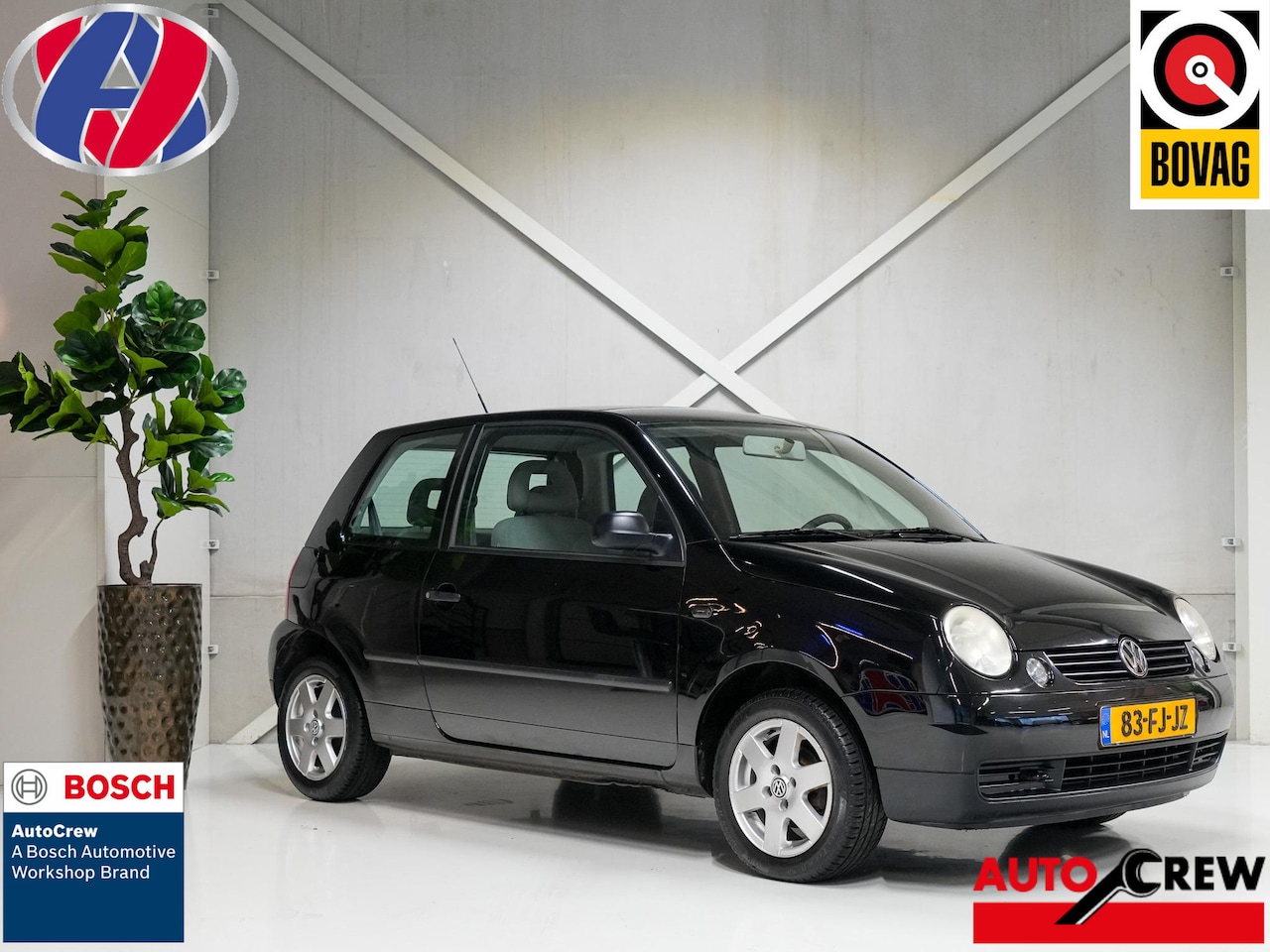 Volkswagen Lupo - 1.4 Athene 1.4 Athene - AutoWereld.nl