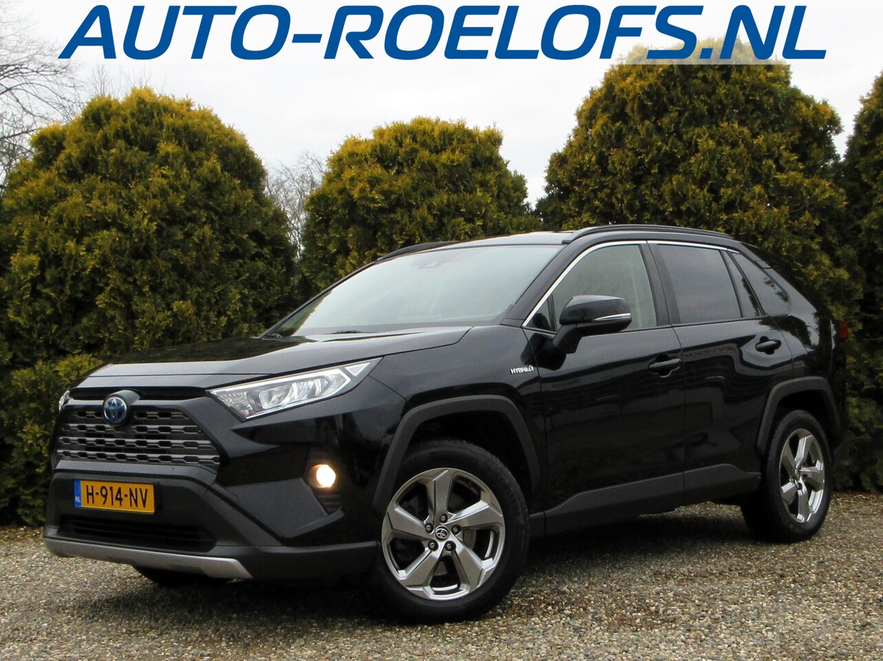 Toyota RAV4 - 2.5 Hybrid Dynamic*Navi*Cruise*Camera* - AutoWereld.nl