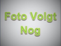 Opel Insignia Sports Tourer - 1.4 T EcoF. Buss.ns Ed | cruise | trekh | dealer o.h.boekje