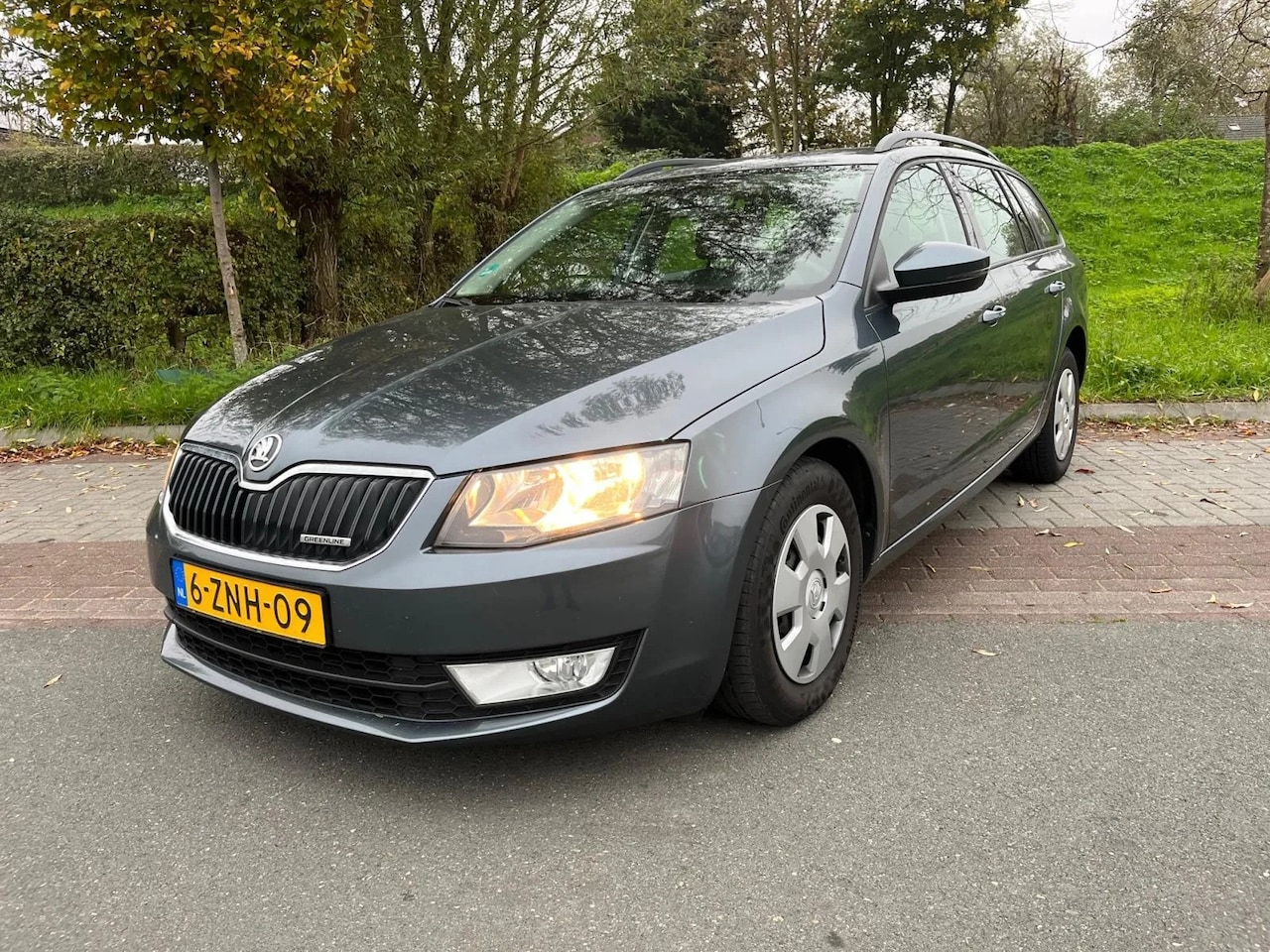 Skoda Octavia Combi - Navi, Pdc, Zuinig 1.6 TDI Greenline - AutoWereld.nl