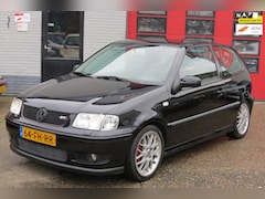 Volkswagen Polo - 1.6-16V GTI , Nederlandse Auto