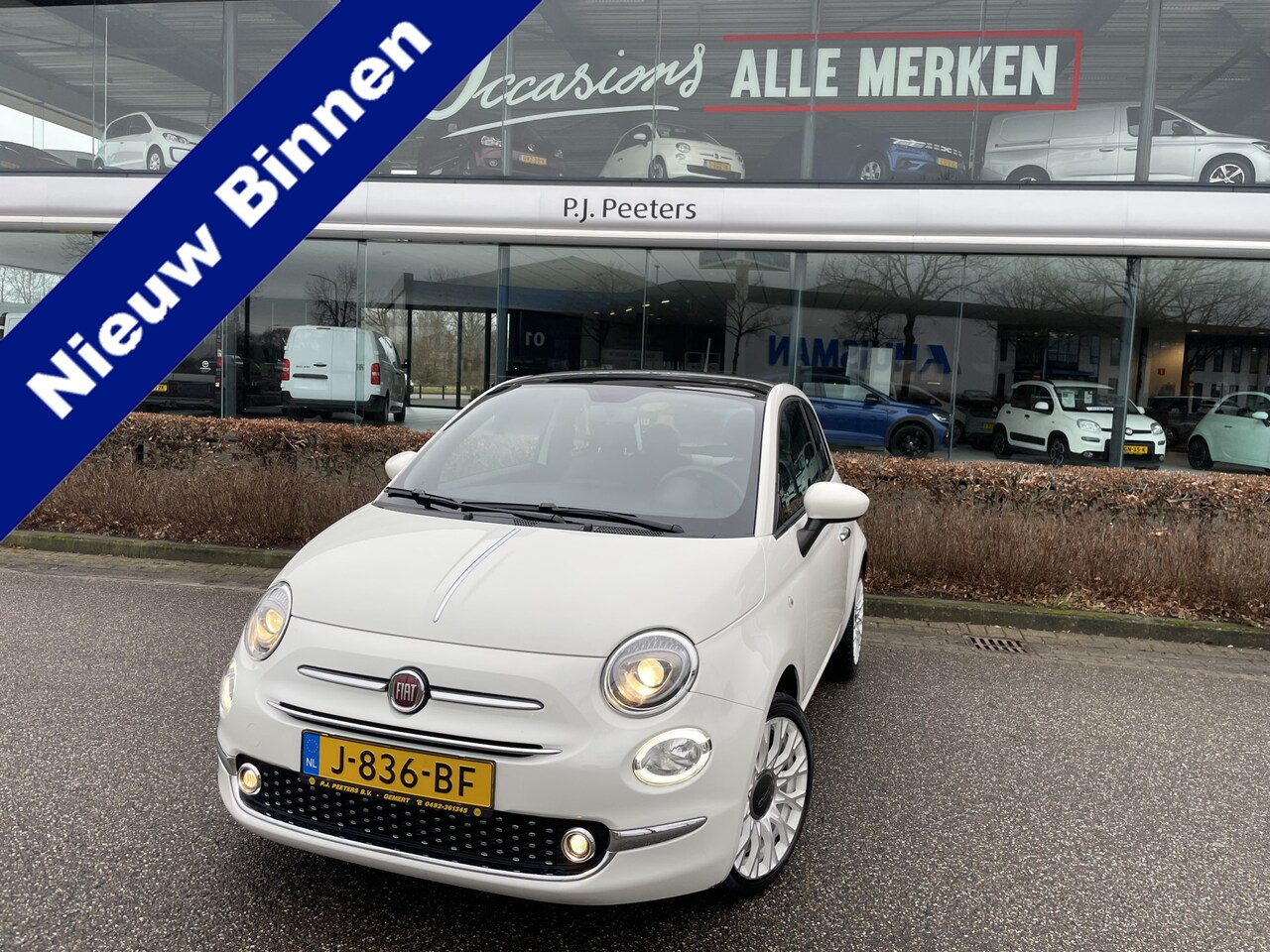 Fiat 500 - 1.0 Hybrid Star Mistlampen - Licht metalen velgen 16inch - parkeersensoren achter - Ledere - AutoWereld.nl