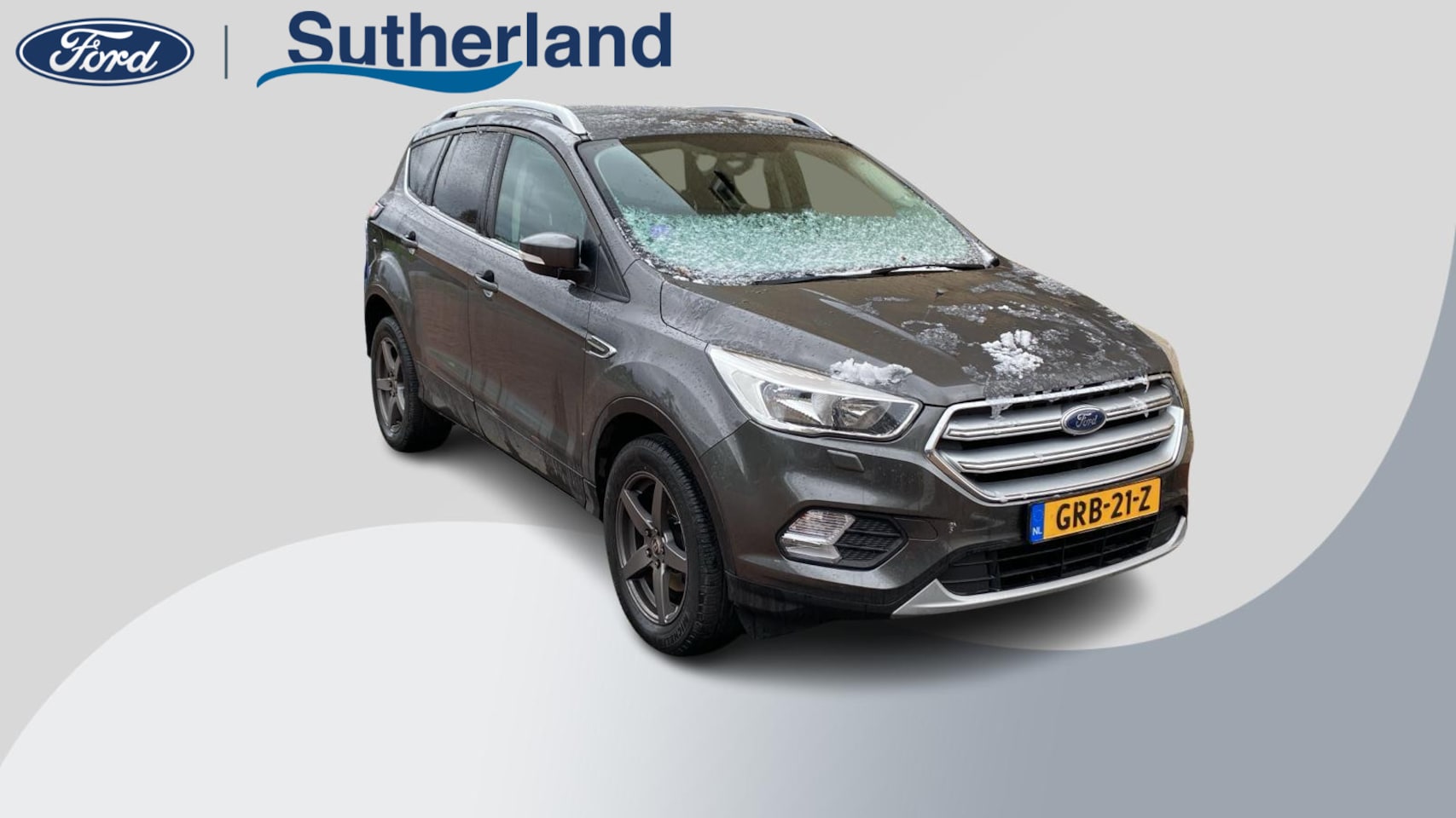 Ford Kuga - 1.5 EcoBoost Titanium 120pk | Winter Pack | Trekhaak | Privacy glass - AutoWereld.nl