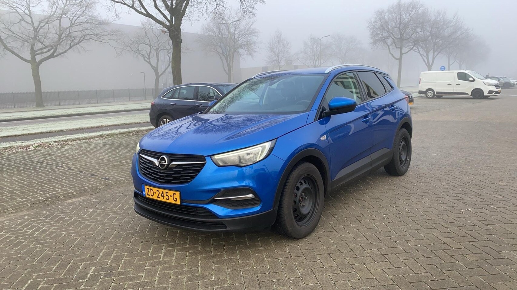 Opel Grandland X - 1.2 Turbo Business 1.2 Turbo Business + - AutoWereld.nl