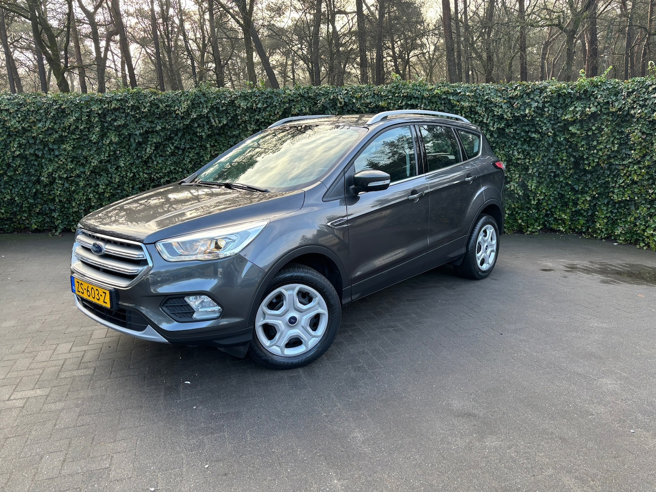 Ford Kuga - 1.5 EcoBoost Trend Ultimate | Climate Control | Cruise Control | Trekhaak - AutoWereld.nl