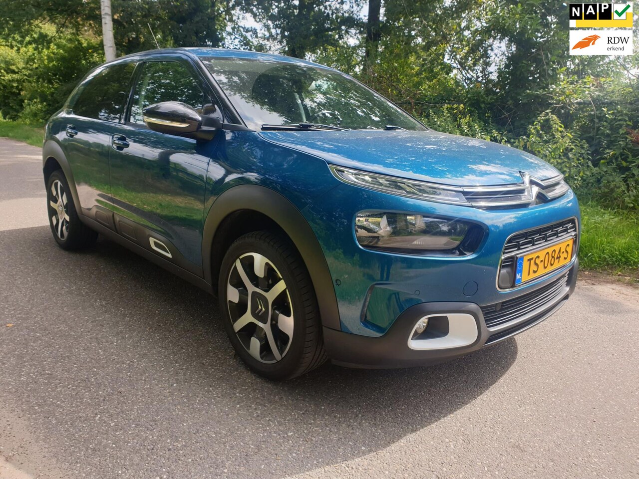 Citroën C4 Cactus - 1.2 PureTech Shine / panoramadak / trekhaak / blauw - AutoWereld.nl