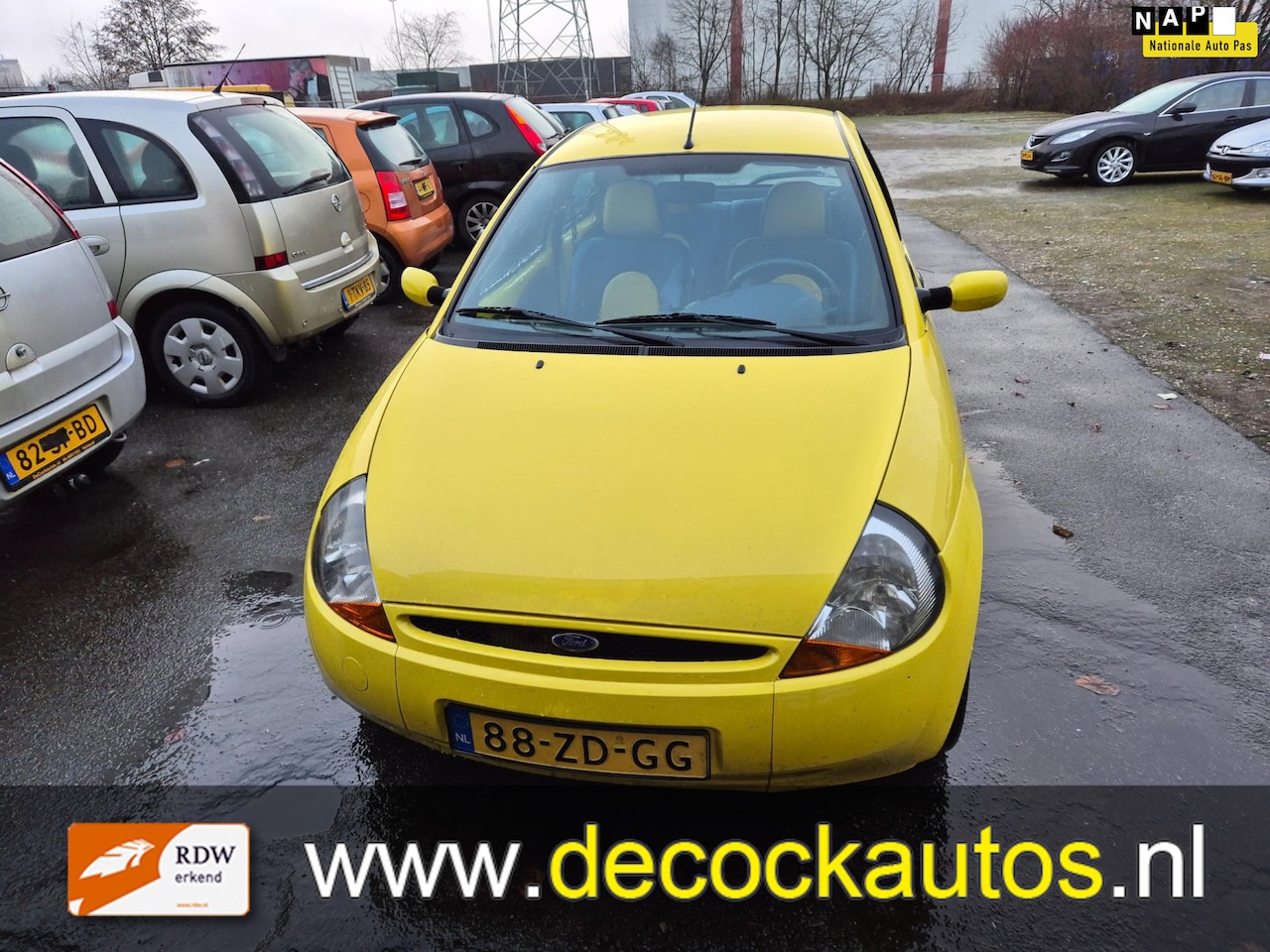 Ford Ka - 1.3 Collection/APK 01-2026 - AutoWereld.nl