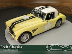 Austin Healey - Coupe