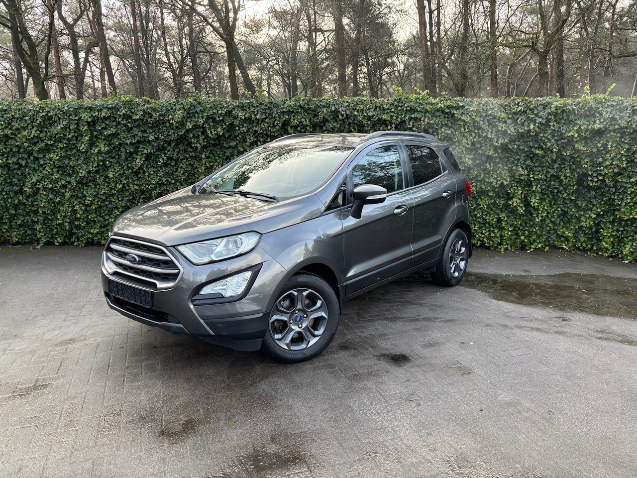 Ford EcoSport - 1.0 EcoBoost Titanium AUT. - AutoWereld.nl