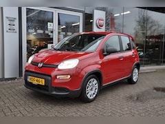 Fiat Panda - 1.0 Hybrid Urban