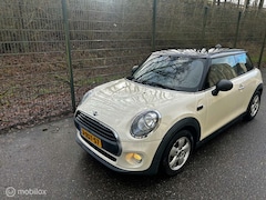 MINI One - 1.2 Salt Business NAVIGATIE