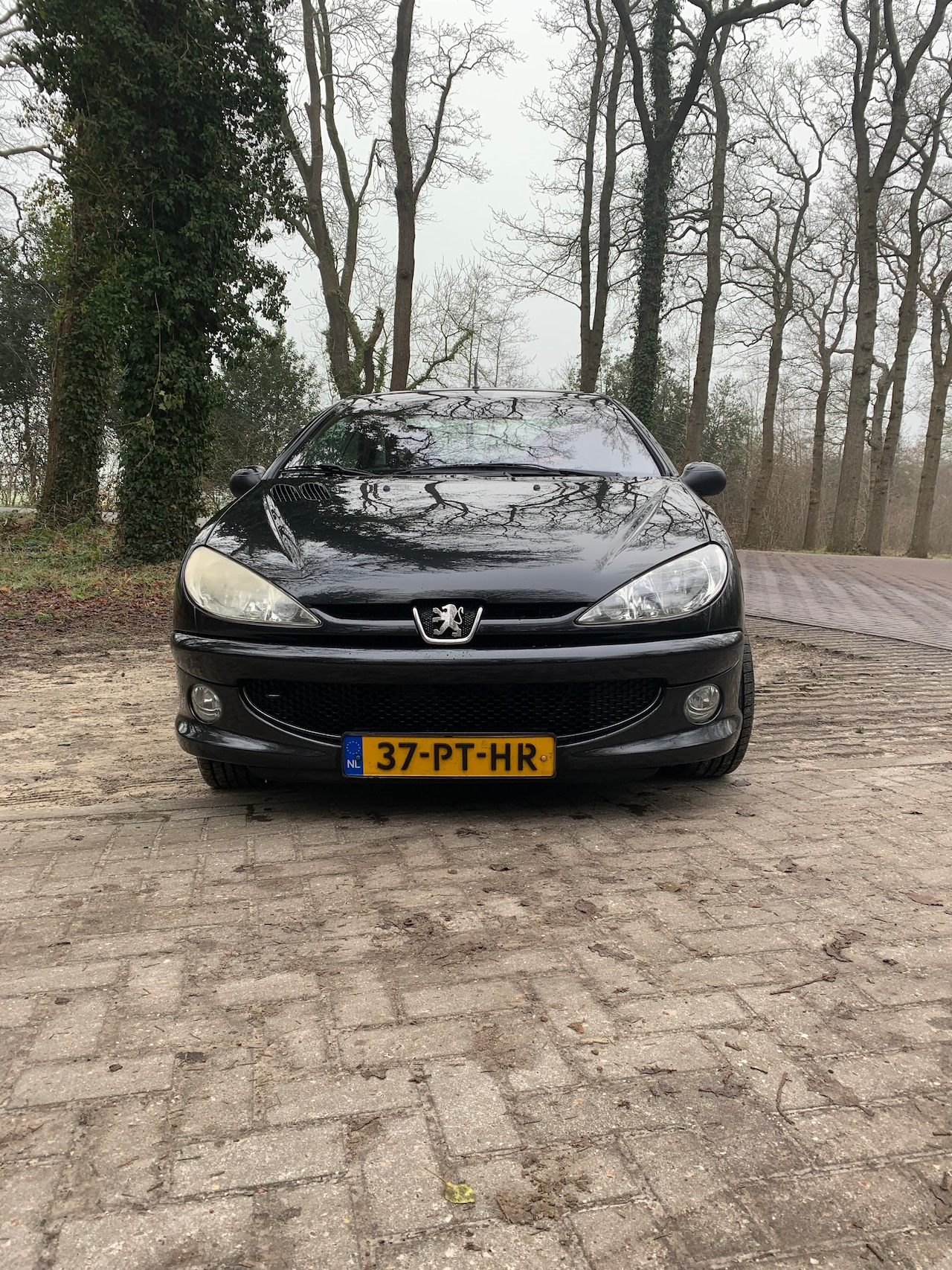 Peugeot 206 CC - 1.6-16V - AutoWereld.nl