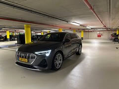 Audi e-tron - 55 quattro S edition Audi e-tron S edition 55 quattro 300 kW / 408 PK | Pano | Daytona grijs pareleffect