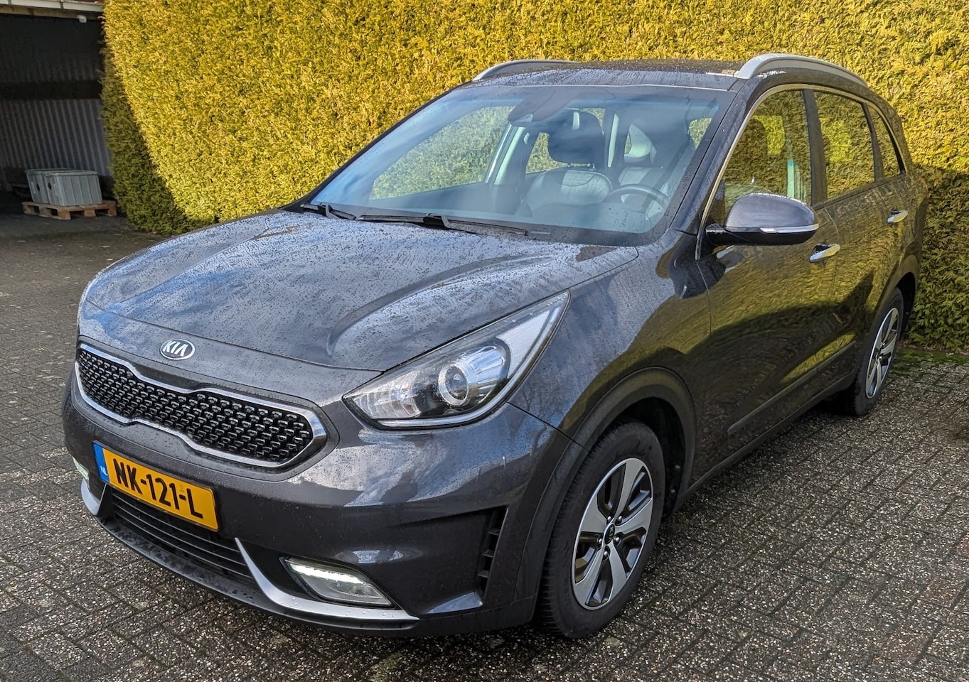 Kia Niro - 1.6 GDi Hybrid First Edition afneembare trekhaak - AutoWereld.nl