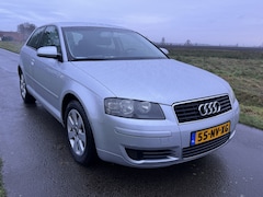 Audi A3 - 1.6 Ambiente ECC/CRUISE/AUTOMAAT