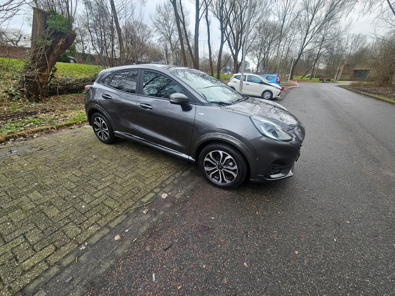 Ford Puma - 1.0 EcoBoost Hybrid ST-Line X - AutoWereld.nl