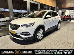 Opel Grandland X - 1.2 Turbo Business Edition wit