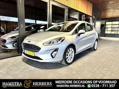 Ford Fiesta - 1.0 EcoBoost Titanium grijs/metallic