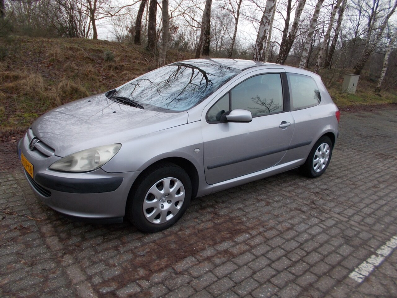 Peugeot 307 - 1.6-16V XS 1.6-16V XS - AutoWereld.nl