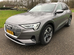 Audi e-tron - e-tron 55 quattro advanced Pro Line Plus 95 kWh