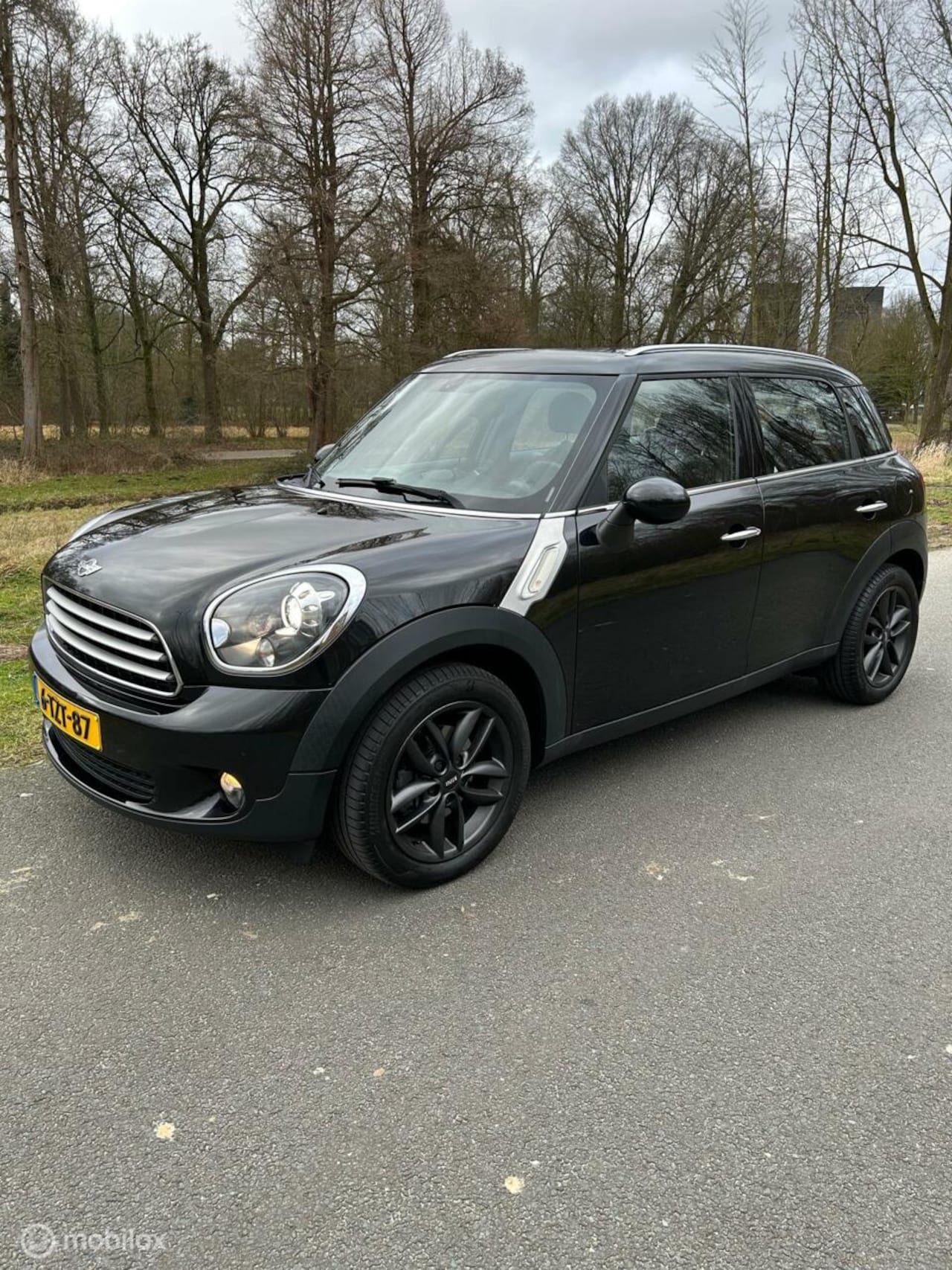 MINI Countryman - 1.6 Cooper Chili 1.6 Cooper Chili - AutoWereld.nl