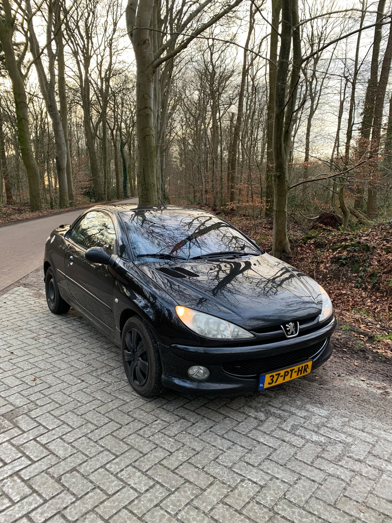 Peugeot 206 CC - 1.6-16V - AutoWereld.nl