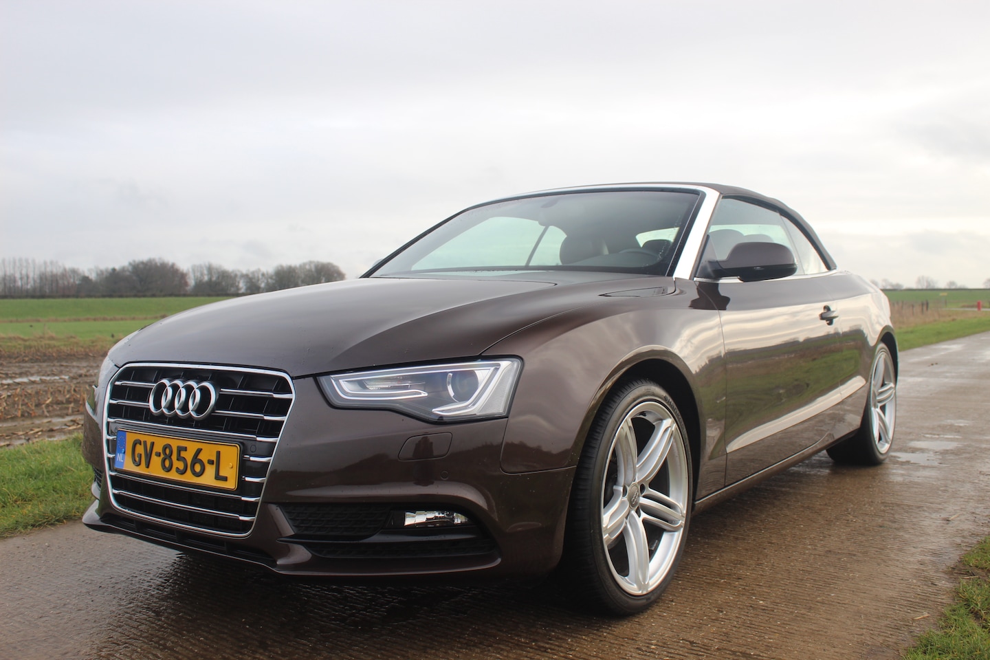 Audi A5 Cabriolet - 1.8 TFSI Pro Line - AutoWereld.nl