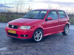 Volkswagen Polo - 1.6-16V GTI