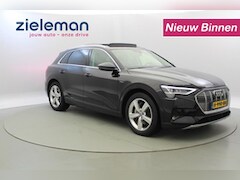 Audi e-tron - 50 Quattro Launch Edition Plus 71 kWh - Leer, Stoelverw