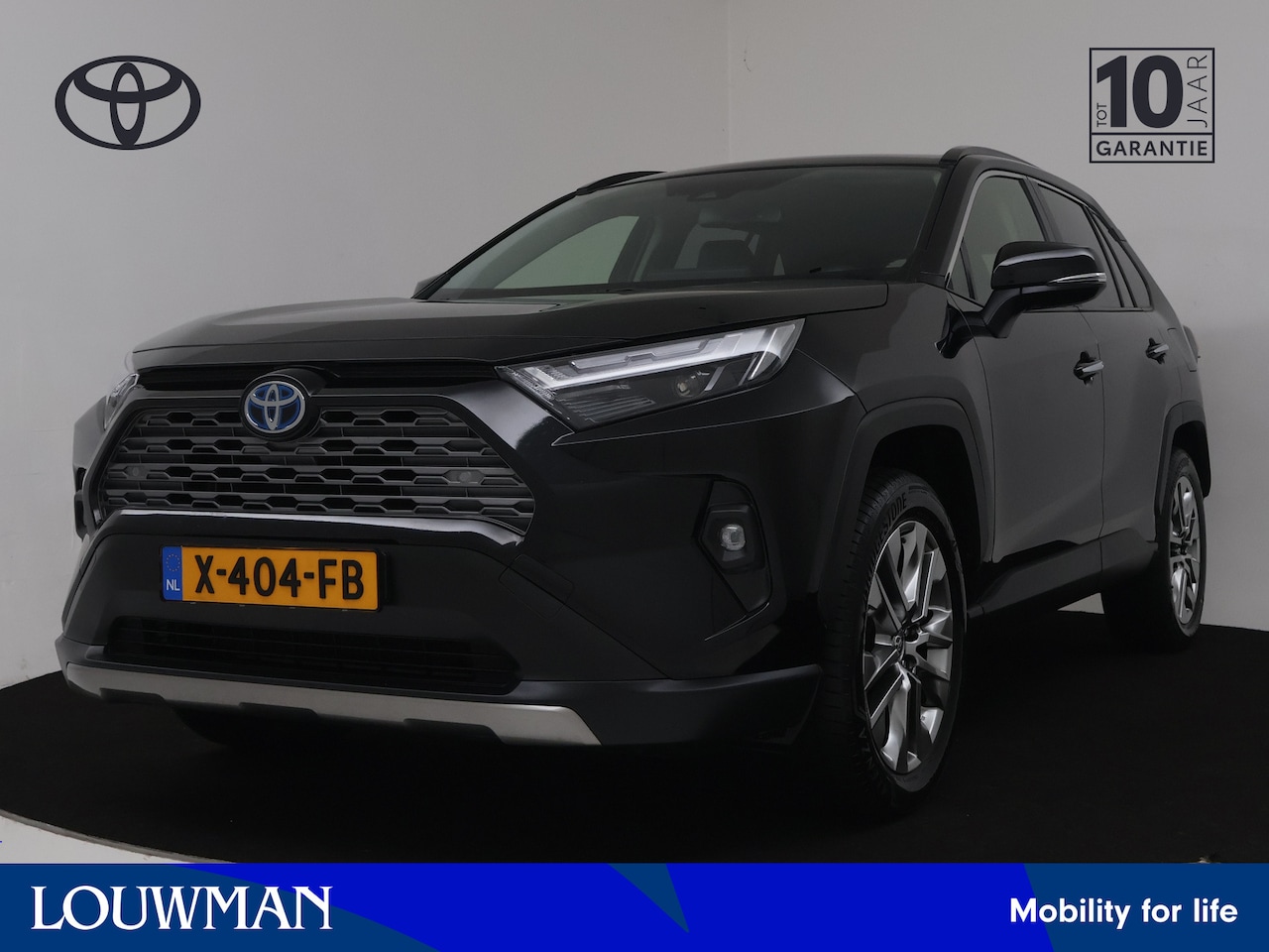 Toyota RAV4 - 2.5 Hybrid AWD Executive | Stoelgeheugen | Camera | Parkeersensoren | LM velgen | Climate - AutoWereld.nl