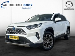 Toyota RAV4 - 2.5 Hybrid Executive | Leer