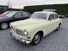 Volvo Amazon - P-130