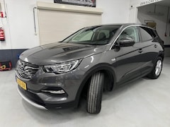 Opel Grandland X - 1.2 TURBO BUS. EX. Clima, Carplay, Camera, Navi, Trekhaak