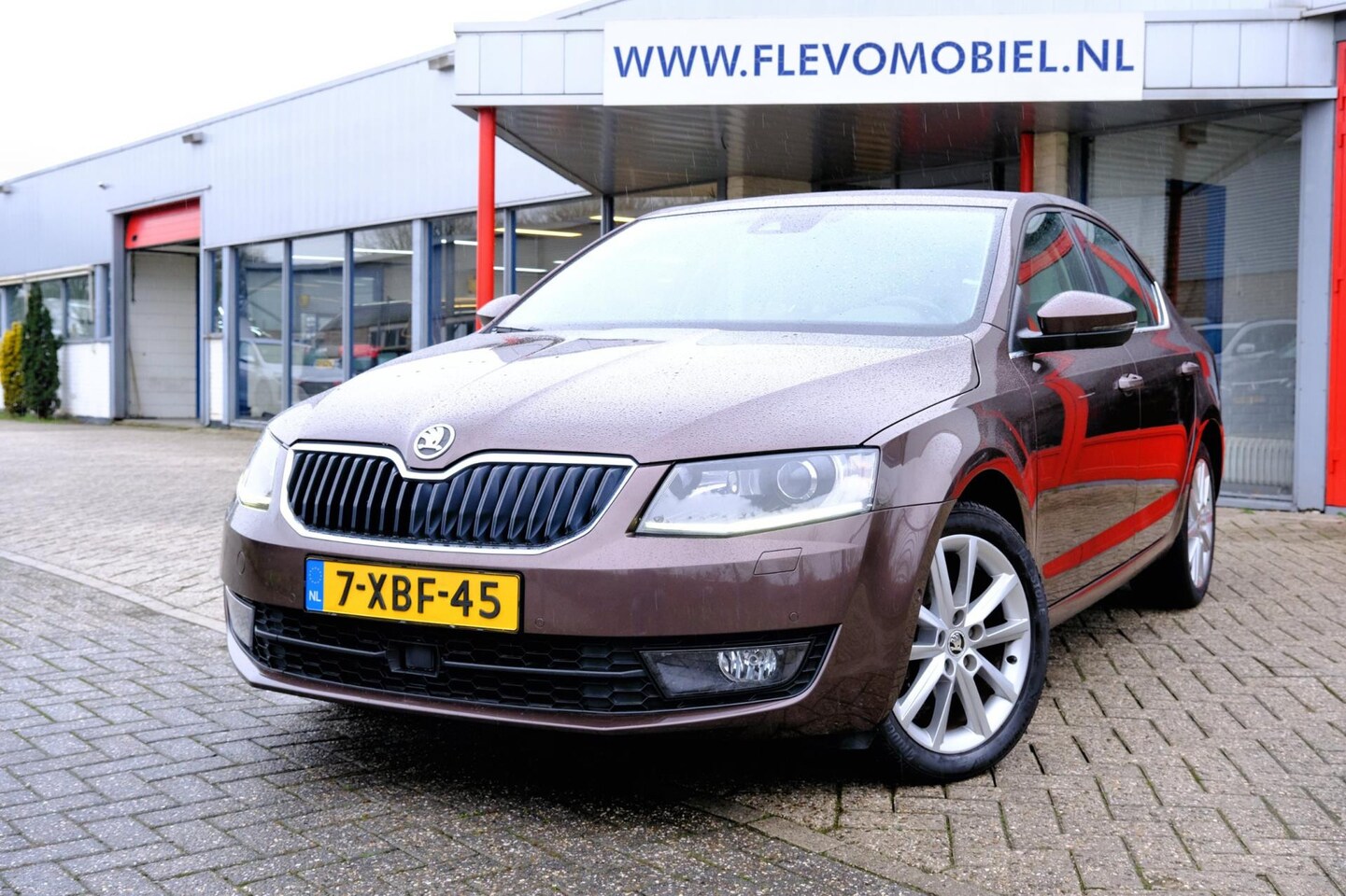 Skoda Octavia - 1.4 TSI 140pk Greentech Elegance Businessline Aut. Xenon|Navi|Adapt.Cruise|Navi - AutoWereld.nl