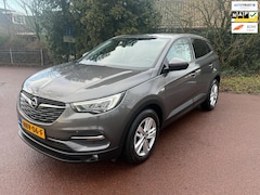 Opel Grandland X - 1.2 Turbo Business Edition / Navi / xenon/ led / PDC / Apk / Lm