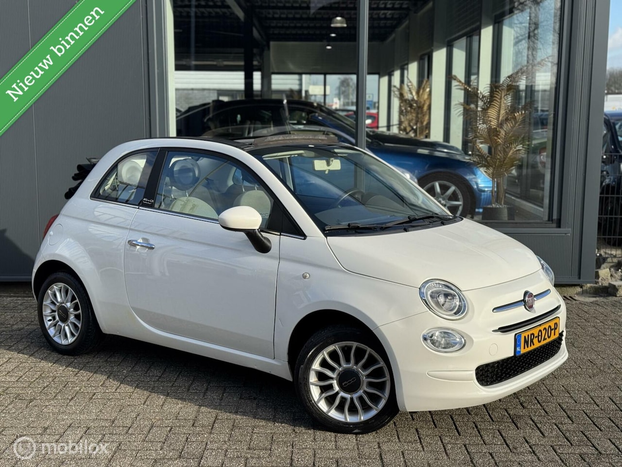 Fiat 500 - 1.2 Lounge / Cabrio / Airco / Half Leder / - AutoWereld.nl