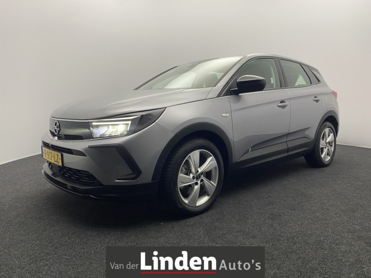 Opel Grandland X - 1.6 Turbo Plug in Hybrid Business Edition | All-Season banden | Clima | Navigatie! - AutoWereld.nl