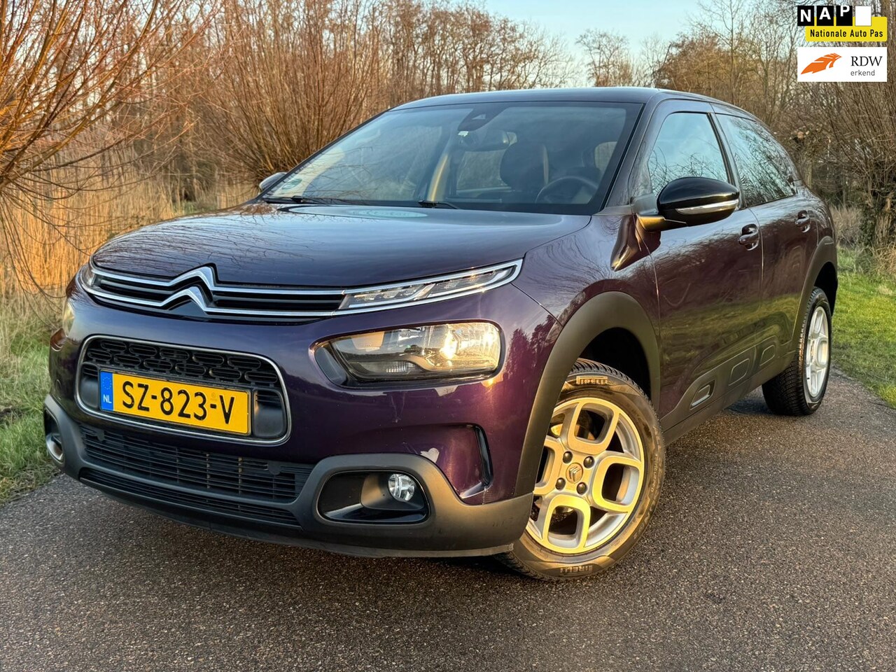 Citroën C4 Cactus - 1.2 PureTech Business / Airco / Navigatie / Cruise Control / PDC / LMV / NAP - AutoWereld.nl