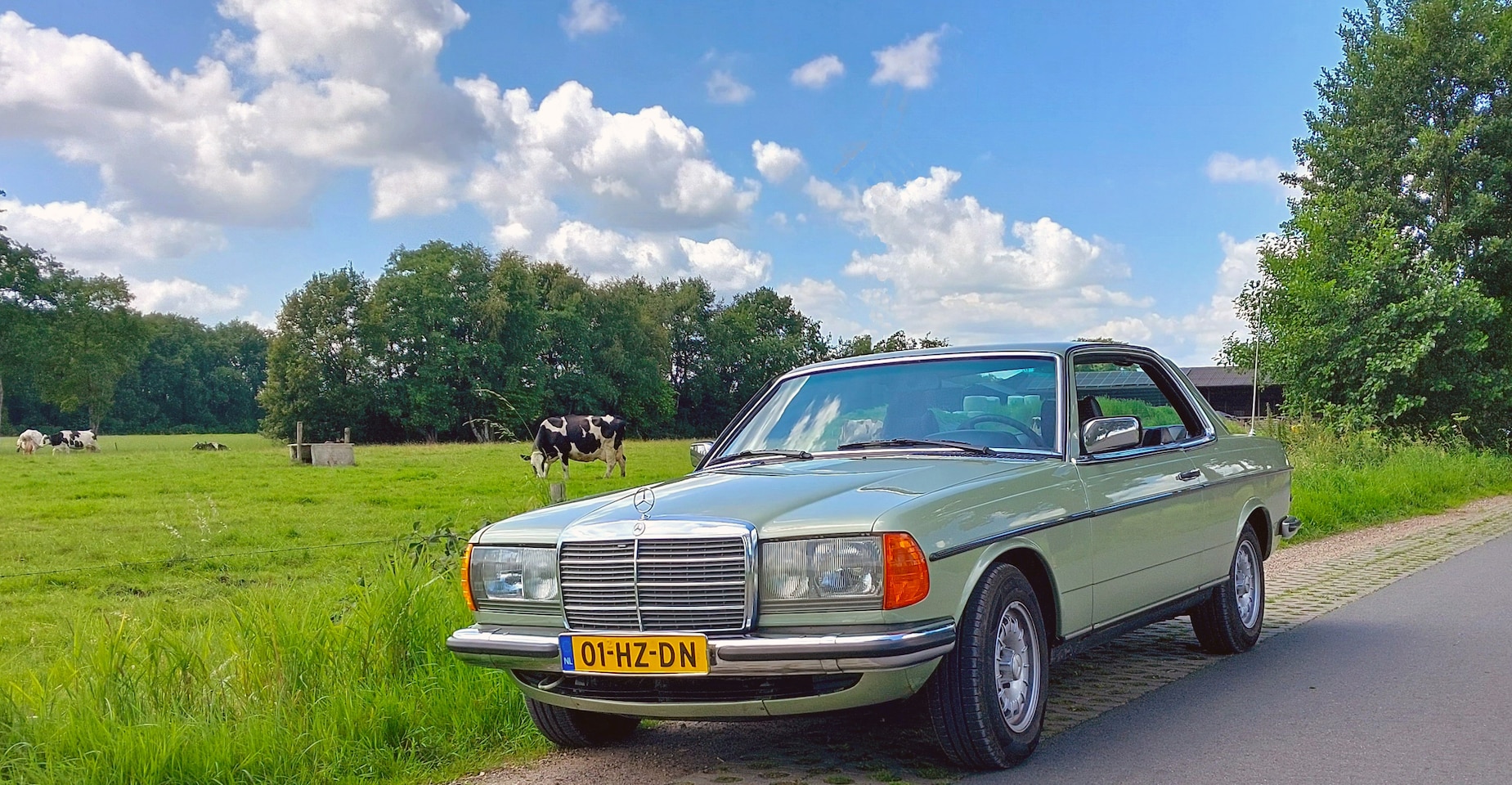 Mercedes-Benz 200-280 (W123) - 280 CE - AutoWereld.nl