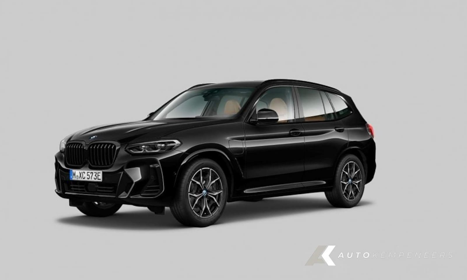 BMW X3 - 30e xDrive M Sport | Shadow | H/K | Driving Ass. Prof. | Trekhaak | Leder | 19 Inch | - AutoWereld.nl