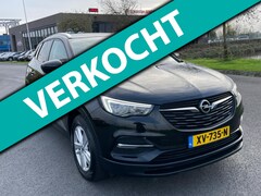 Opel Grandland X - 1.2 Turbo Business +, 1e eig, Geen import, Nap, Dealer oh