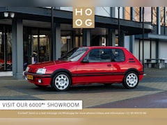 Peugeot 205 - 1.9 GTI