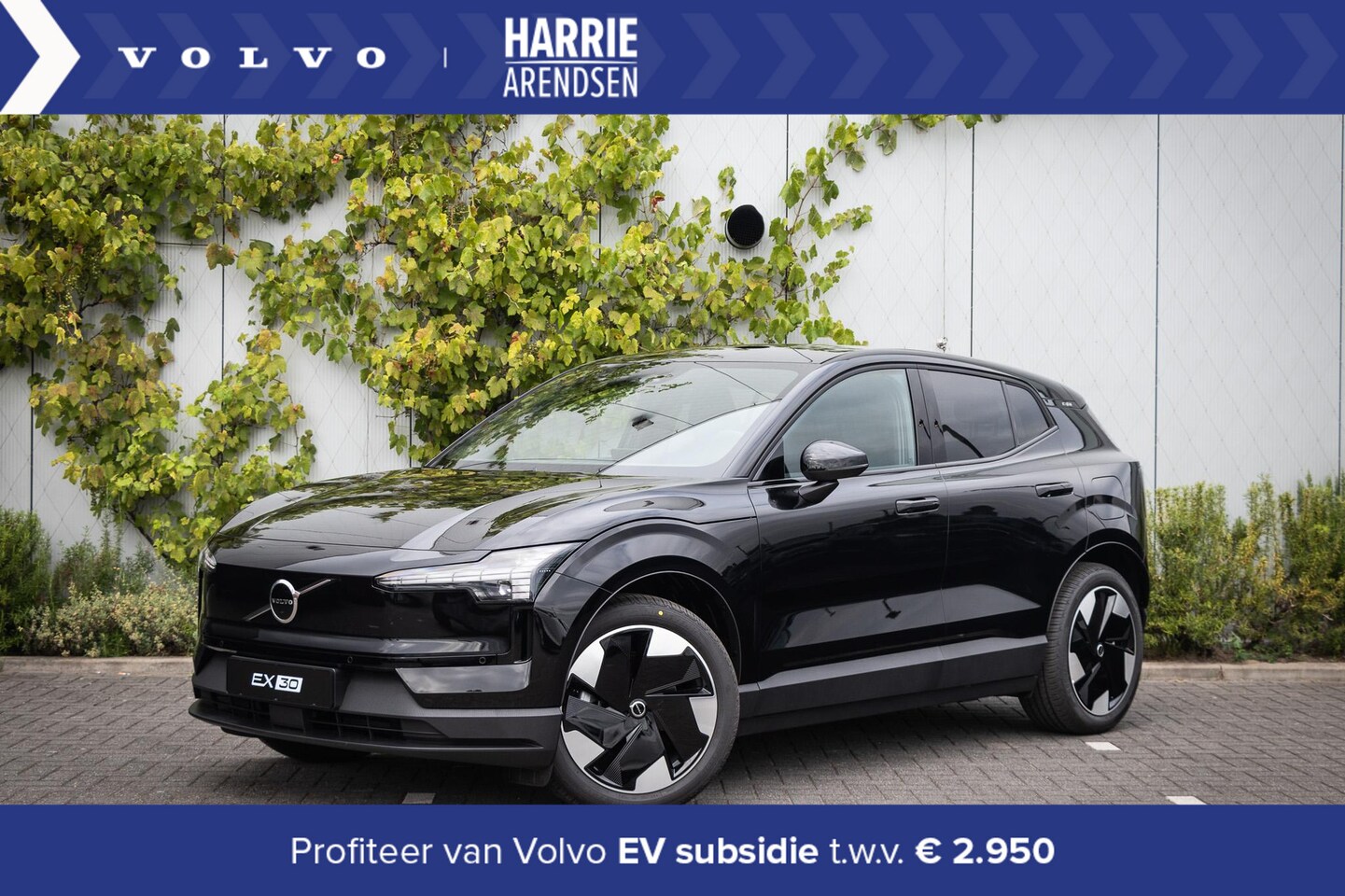 Volvo EX30 - Single Motor Extended Range Plus 69 kWh | Harman Kardon audio | Keyless | Adaptieve Cruise - AutoWereld.nl