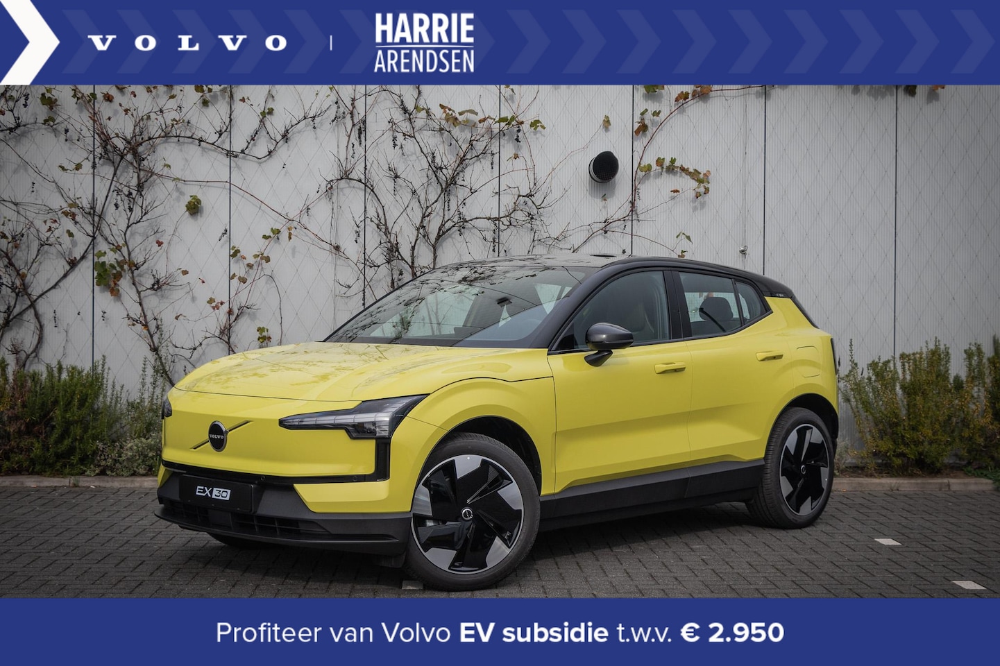 Volvo EX30 - Single Motor Extended Range Plus 69 kWh | Adaptieve Cruise Control | Pine Interieur | Harm - AutoWereld.nl