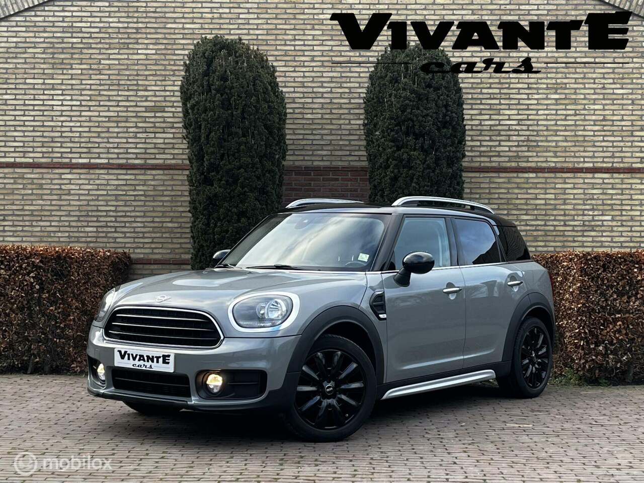 MINI Countryman - 1.5 Cooper Leder | Cruise | Navi | AppleCarplay - AutoWereld.nl