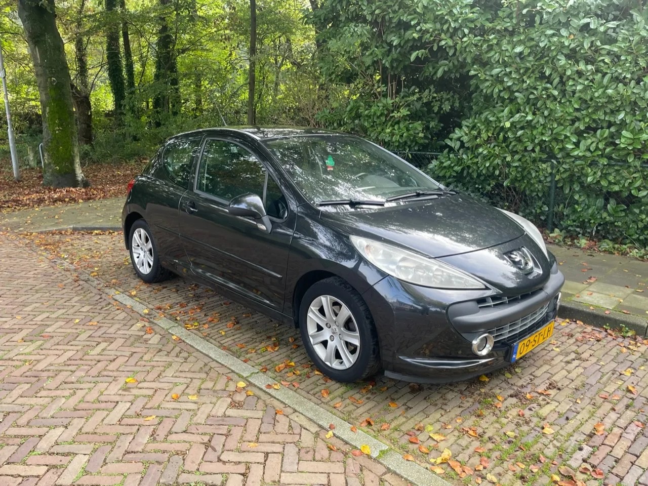 Peugeot 207 - 1.6-16V XS Pack| LPG - Rijdt prima - AutoWereld.nl